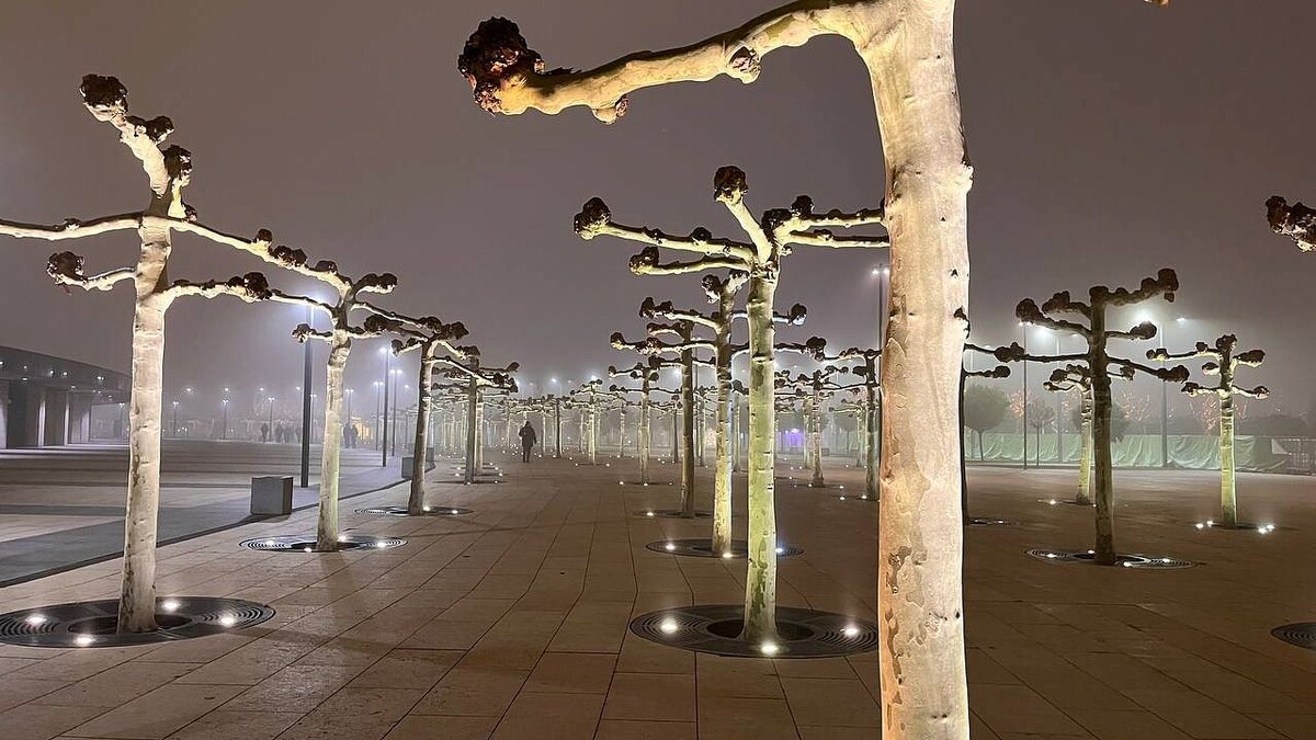    Фото: телеканал «Краснодар»