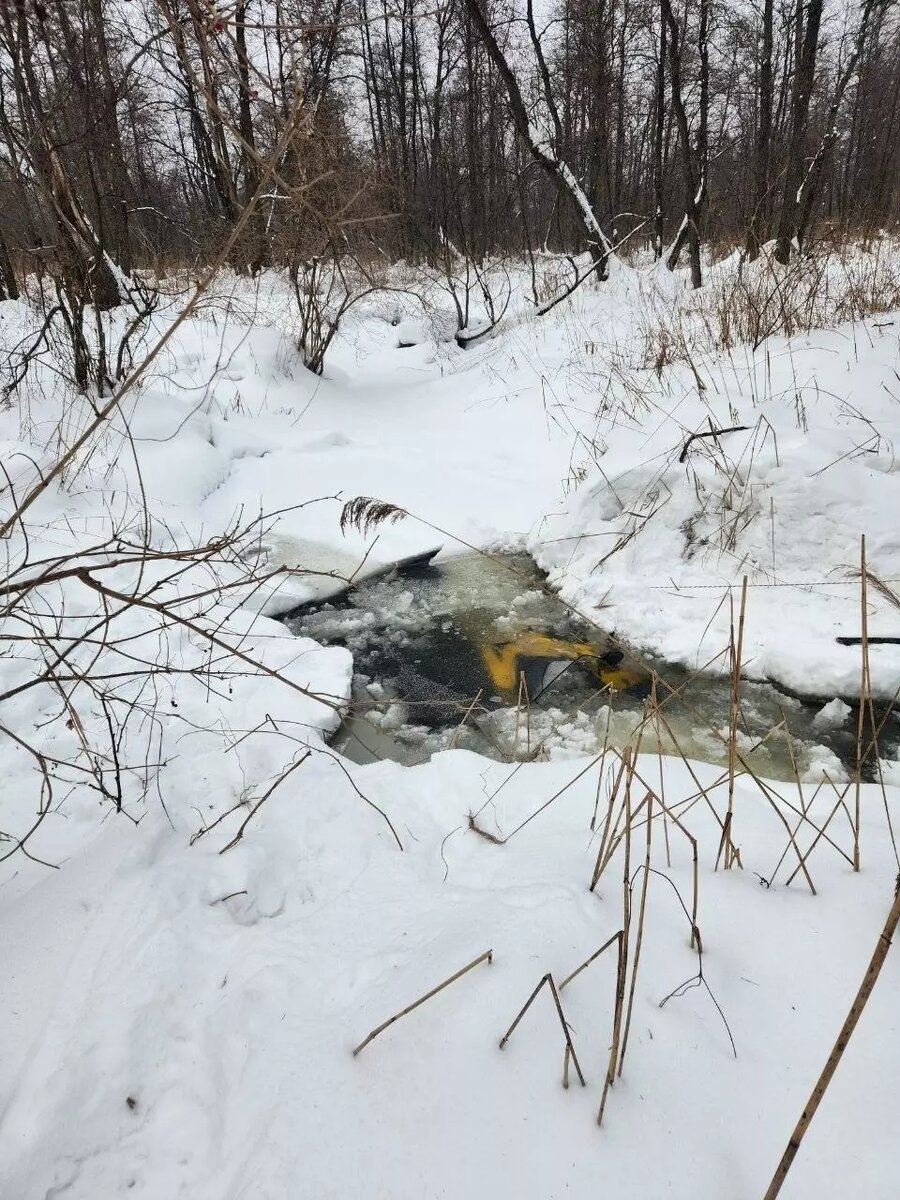     Источник: vk.com/Спасательный отряд