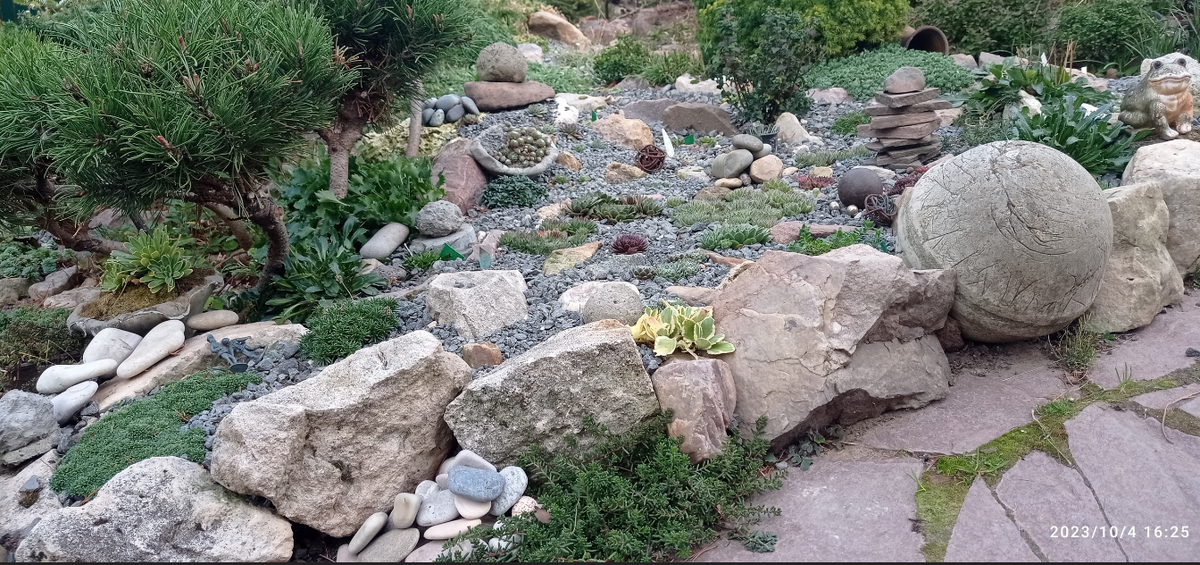 упал и вырос