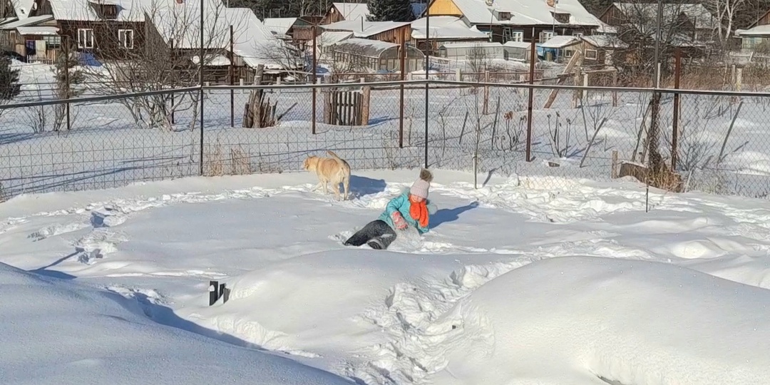 ⛄️❄️Валяем снег в огороде. Все смешалось у нас - снег, внучка, собаки... 😂