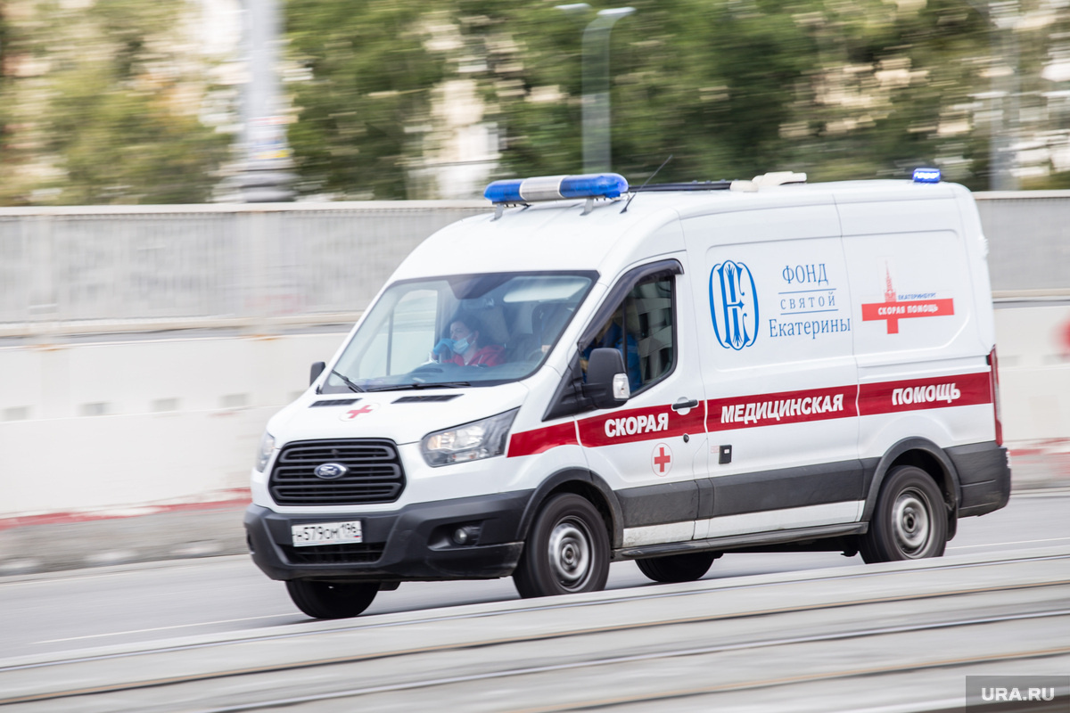 Фото: Илья Московец © URA.RU