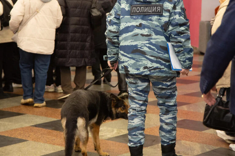    Фото: Общественная служба новостей Анастасия Давыдова