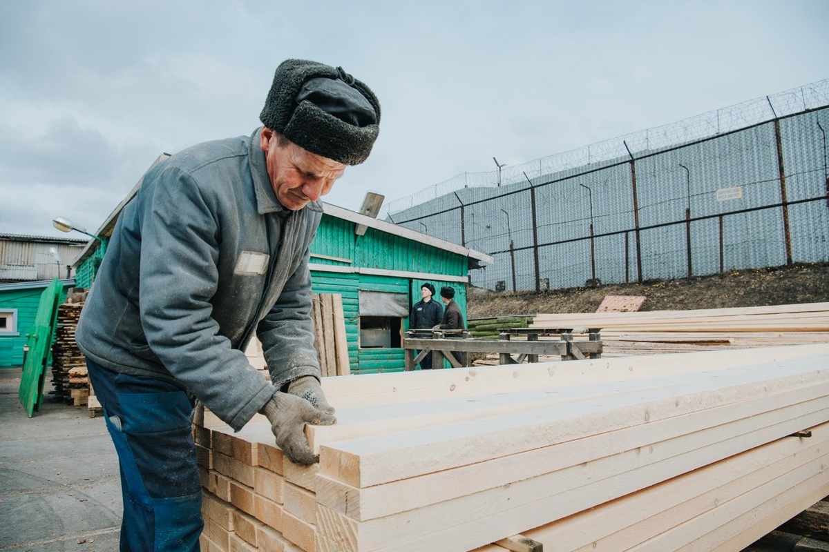    Лесопилка ИК-1. Фото: "Республика" / Лилия Кончакова