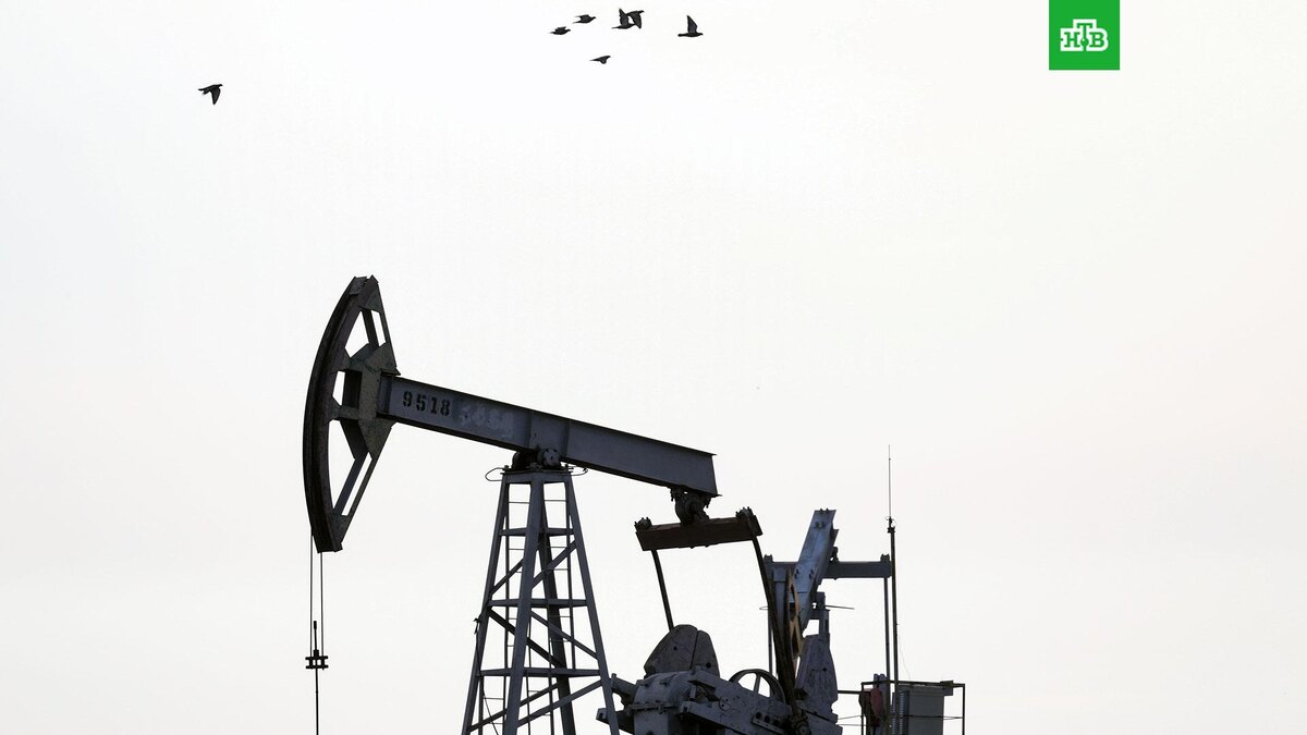    Фото: РИА Новости © 2025, Максим Богодвид