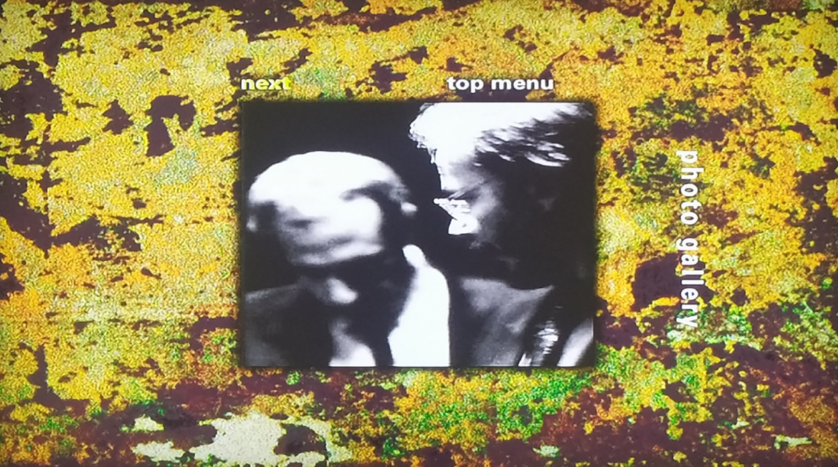 Steely Dan "Two Against Nature" DVD-Audio - photo gallery 1 - Walter Becker and Donald Fagen