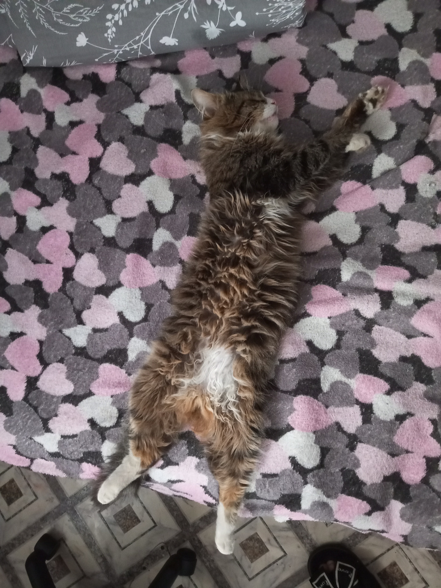 Сын Денисович 😁