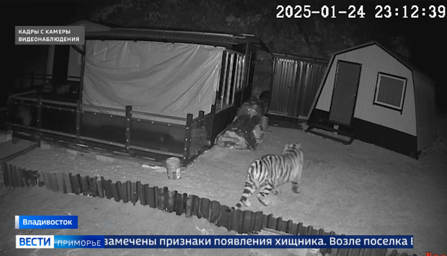    Источник фото: