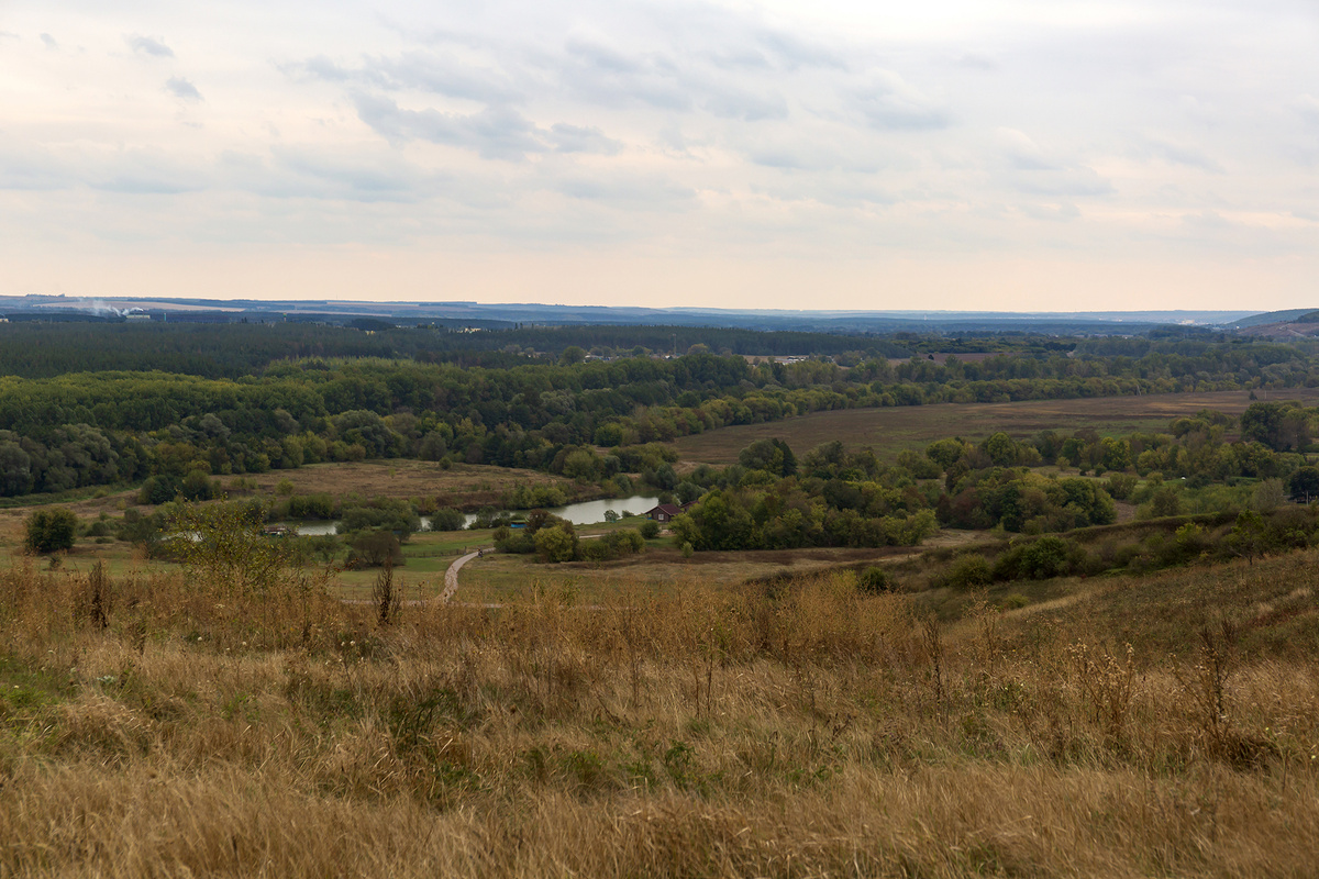 Панорама окрестностей реки Холок