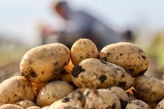 Фото: Сергей Мальгавко/ТАСС
