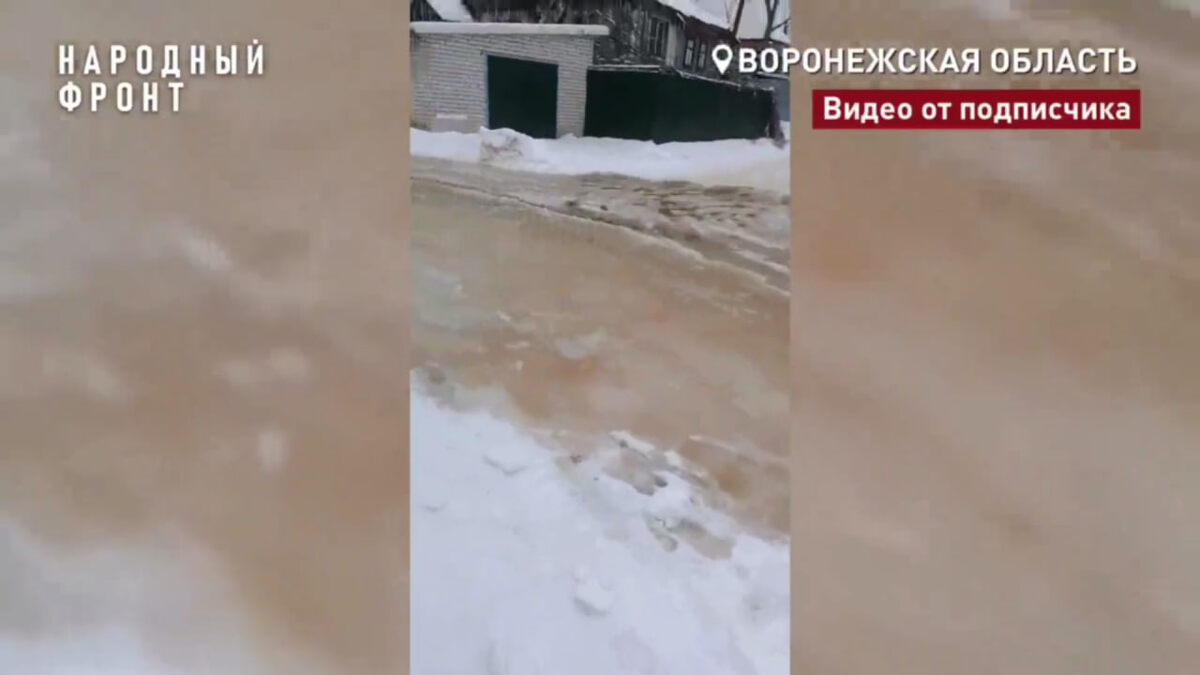    Неисправная канализация превратила улицу в Воронеже в фекальную реку Воронежское отделение ОНФ