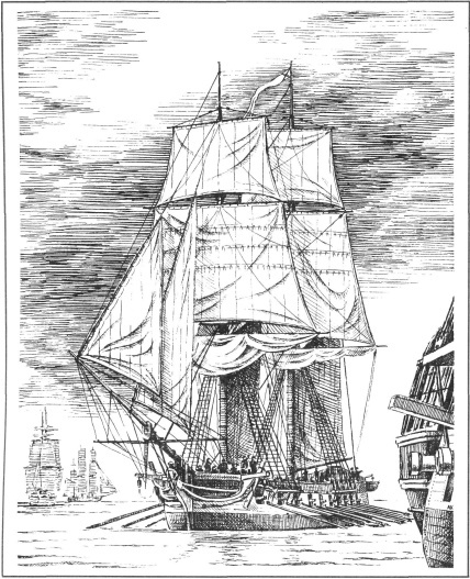 Катер «Меркурий», 1788 год. иллюстрация из книги Чернышова А.А. Русский парусный флот, том 2. (2002 год)