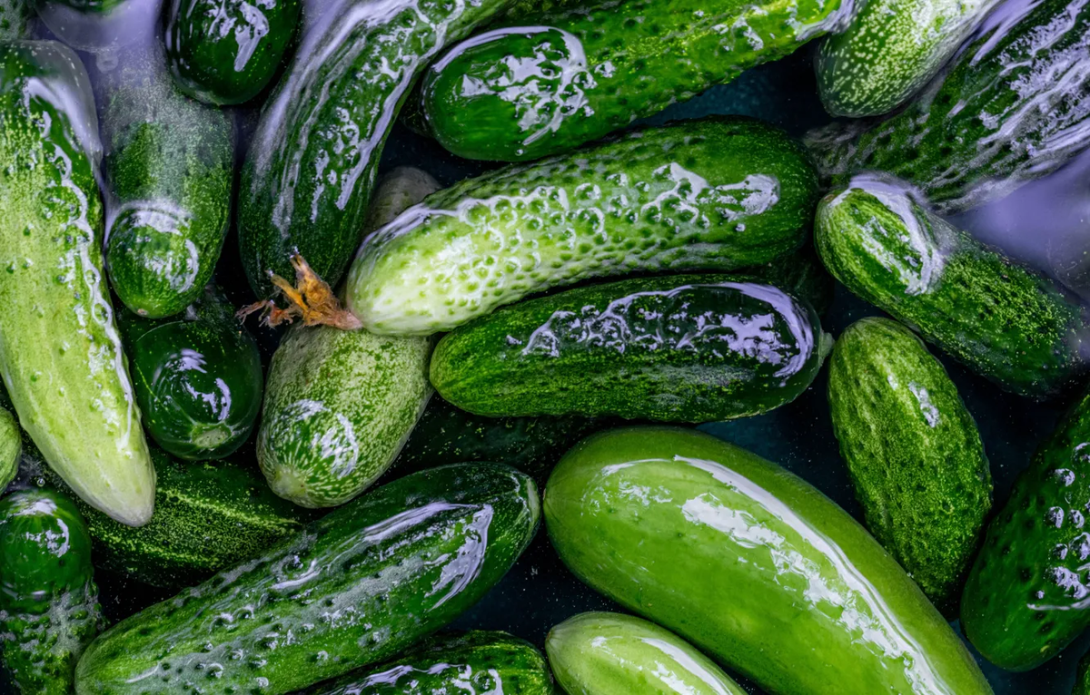 Фото: Kisenok / GoodFon.ru