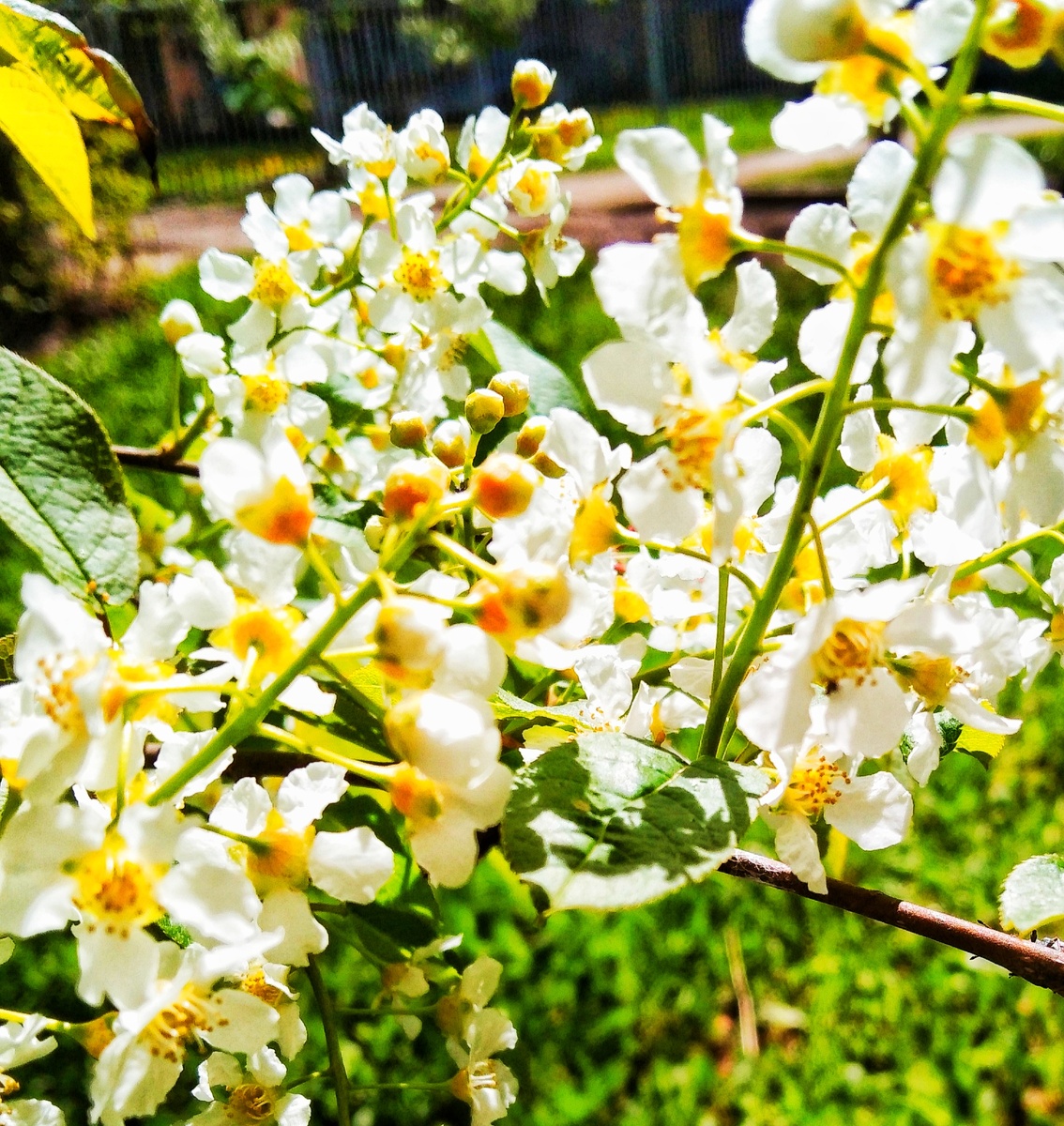 Уже совсем скоро...