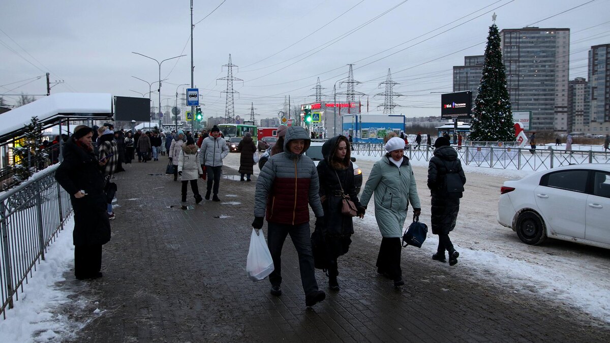    Фото: Maksim Konstantinov/globallookpress.com