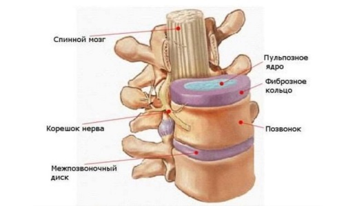 Изображение с сайта: neuros.ru