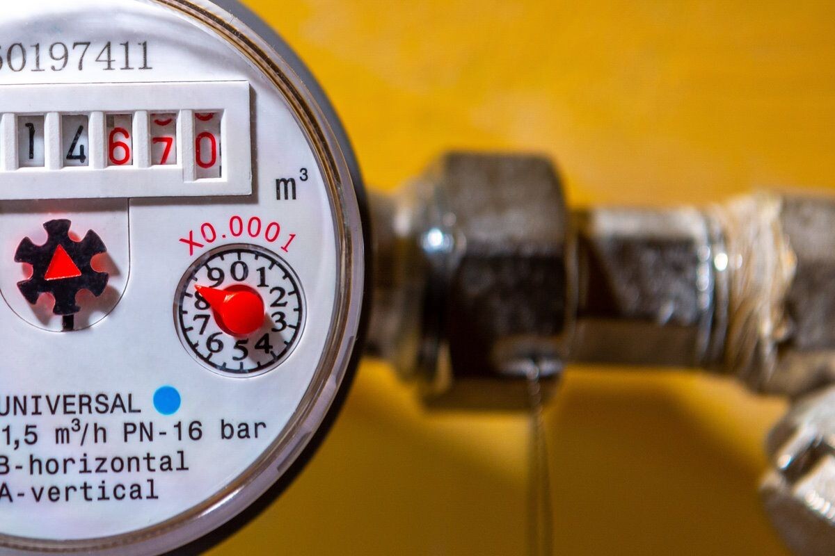    Фото: Evgenii Panov / Shutterstock.com