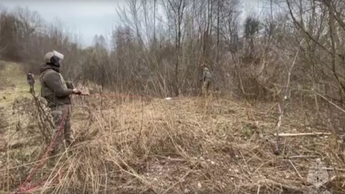    В Курской области пиротехники МЧС России уничтожили неразорвавшуюся часть украинского БПЛА