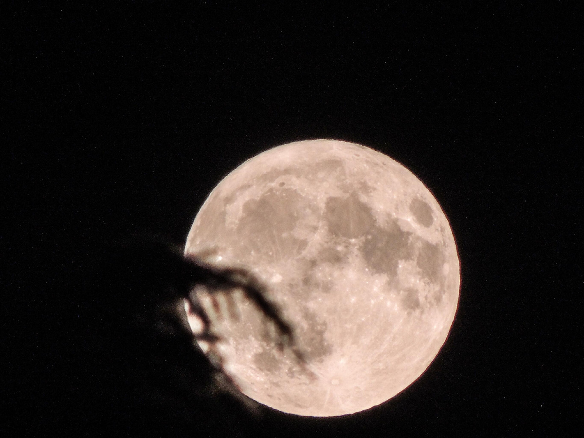 © Sputnik / Михаил Авагимов