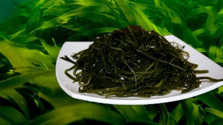 Морская капуста.