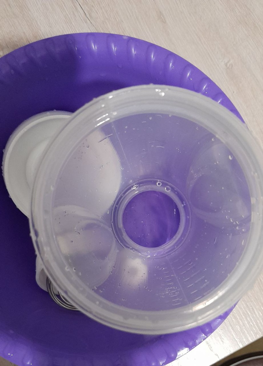 фото  автора  