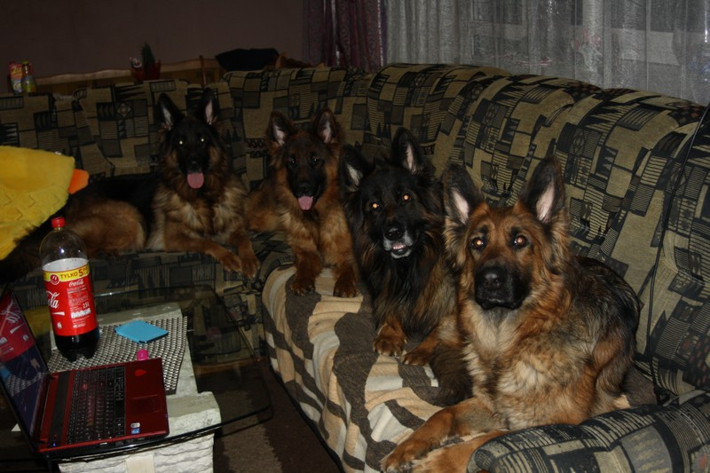 Когда позвал всех своих друзей на посиделки в квартире.