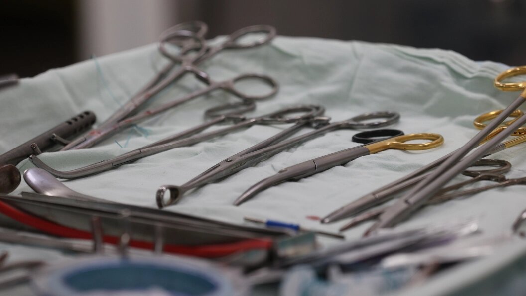    Belkin Alexey/Globallookpress