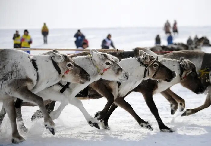     © РИА Новости. Алексей Майшев