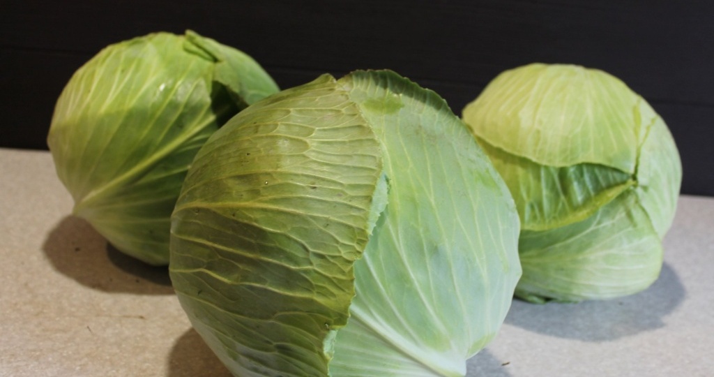 10 проблем при выращивании капусты, или как получить богатый урожай