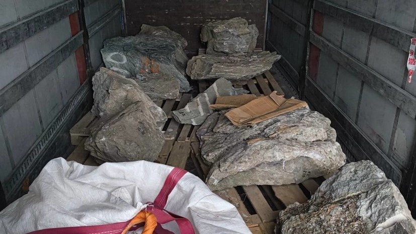    Федеральная таможенная служба России