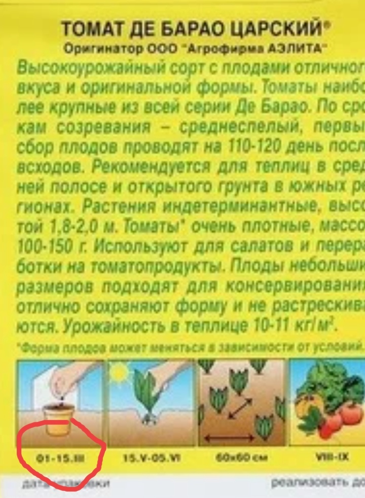 Скриншот Яндекс картинки