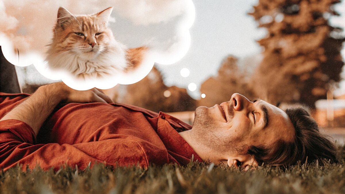 Мечтаете об эффективном коде?