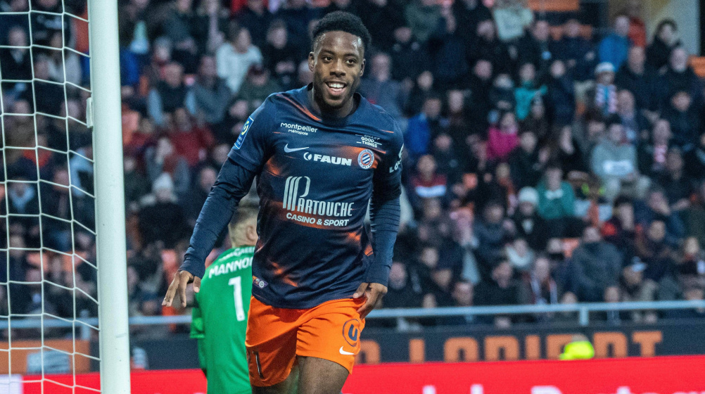 Элье Ваи в Монпелье