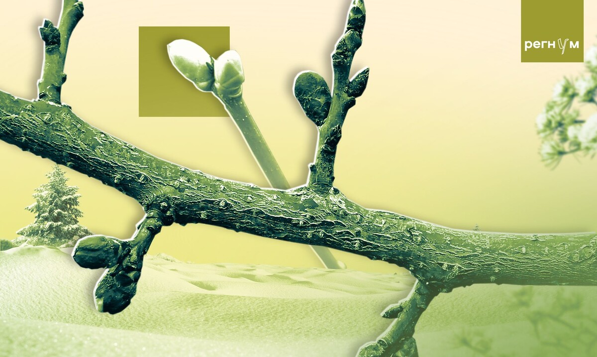     / Источник: Иван Шилов (с) ИА Регнум