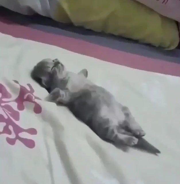 После прогулки