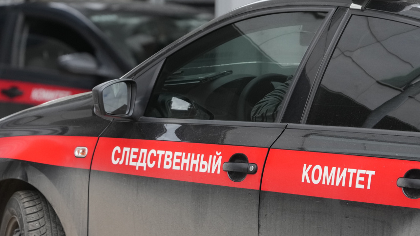    Фото: ИЗВЕСТИЯ/Дмитрий Коротаев; Следственный комитет РФ; 5-tv.ru