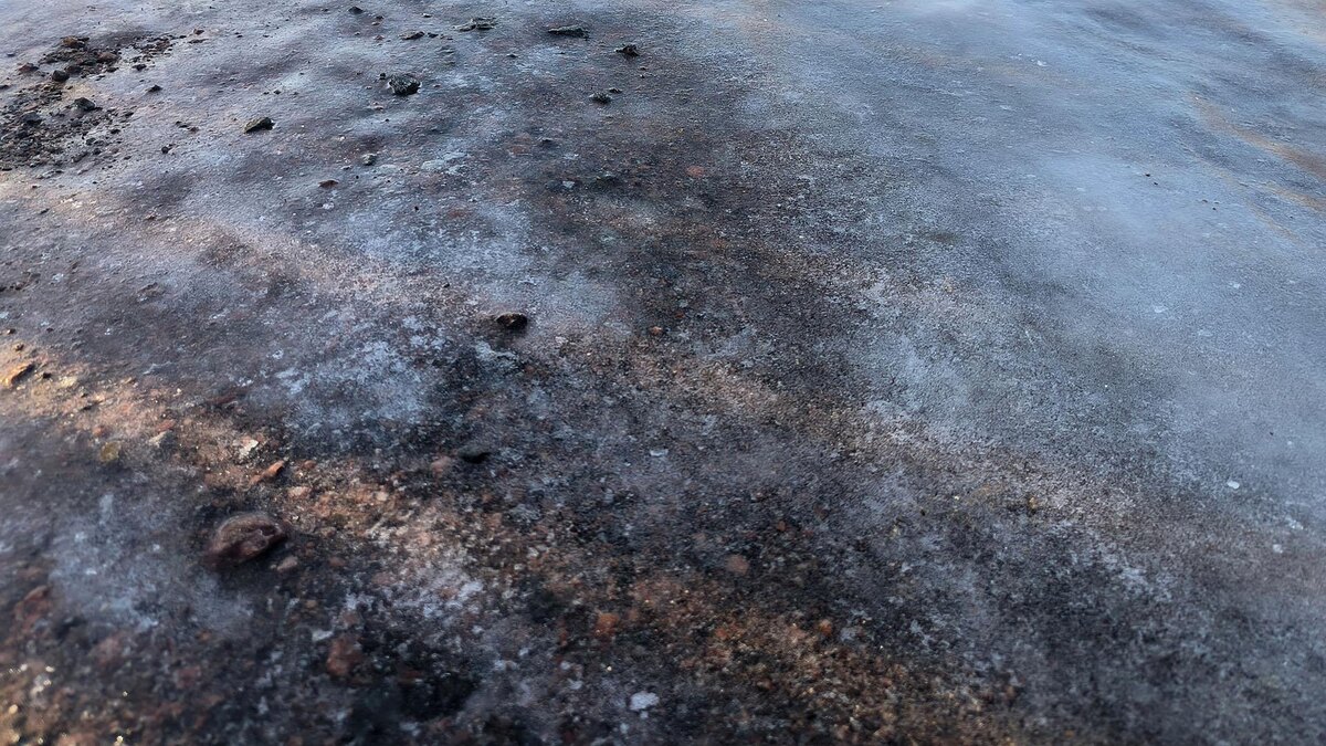    Фото: Maksim Konstantinov/globallookpress.com