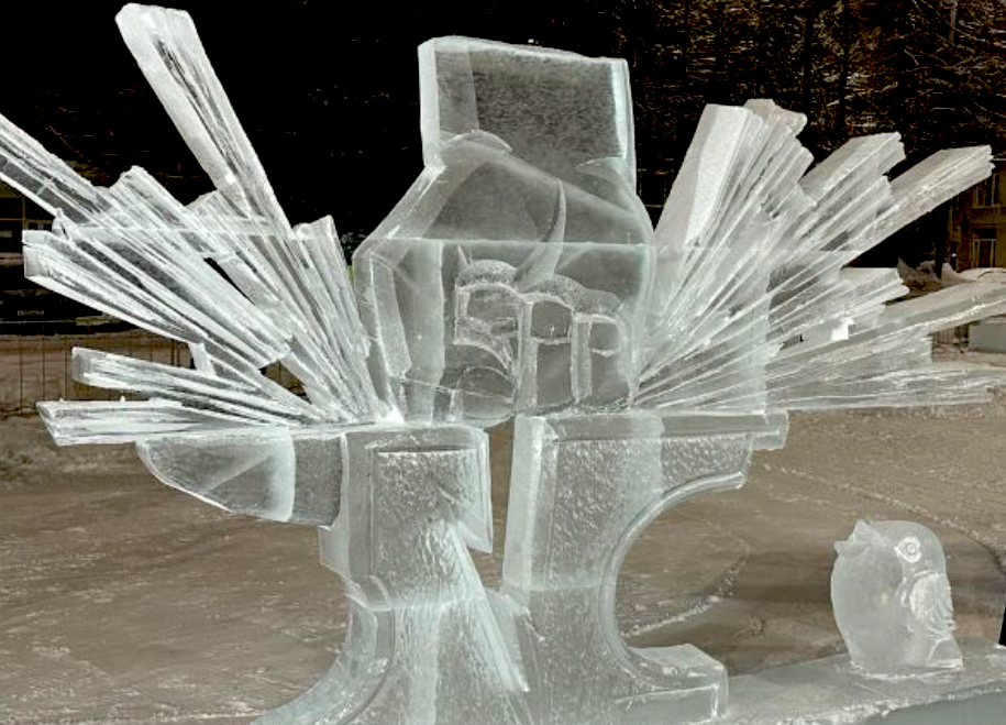 Победитель конкурса – работа «Северный характер». Фото: Ольга Ильницкая, «ХибИнформБюро» / hibinform.ru