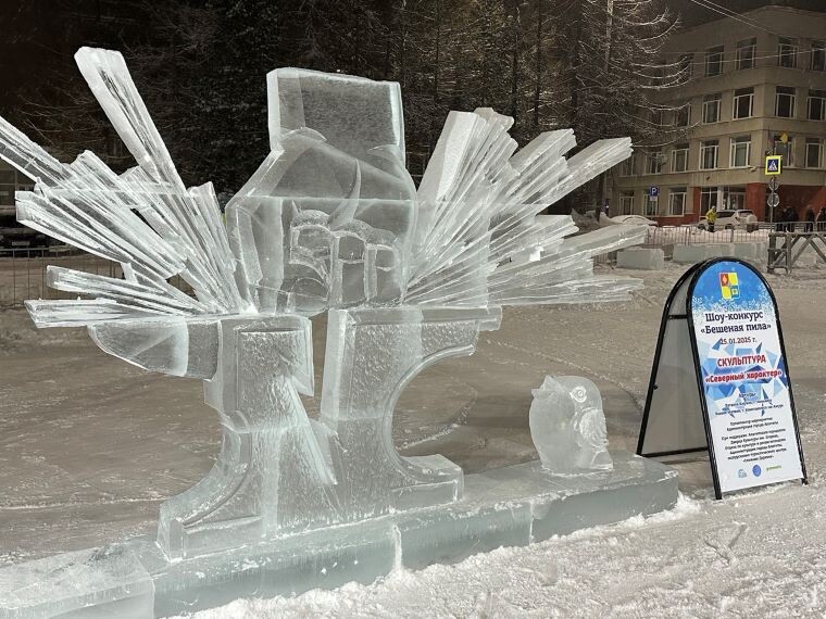 «Северный характер». Фото: Ольга Ильницкая, «ХибИнформБюро» / hibinform.ru