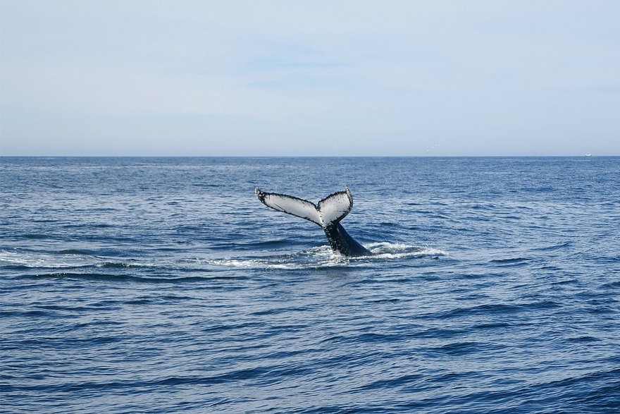    Фото: Jill Gralow / Reuters