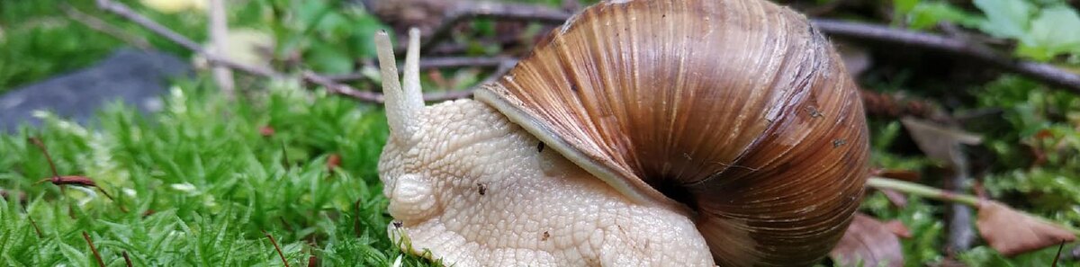    Фото: Виктория Передерий