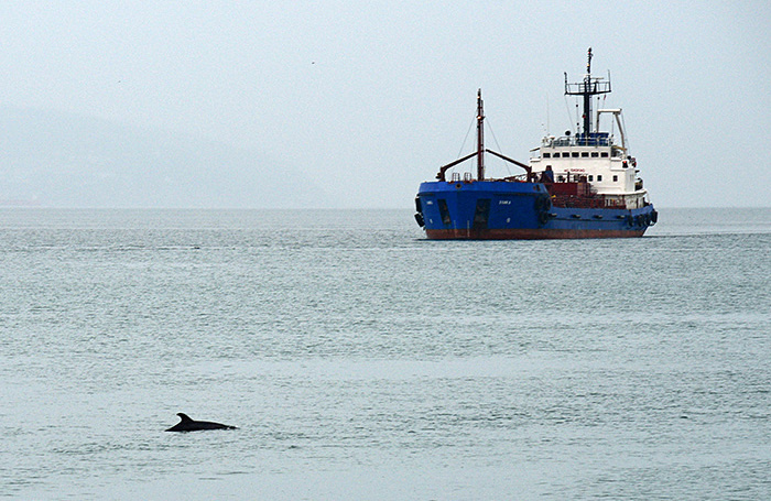    Игорь Онучин/ТАСС