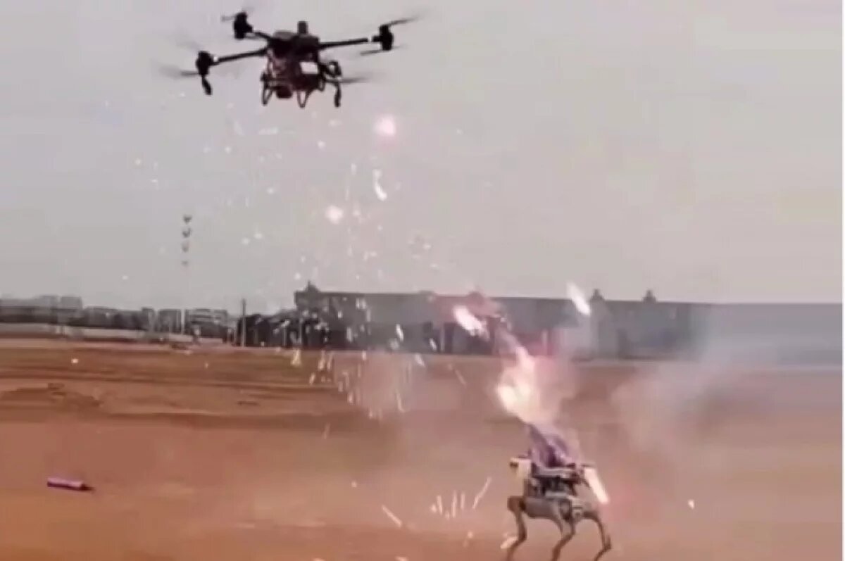    Кондратьев: бой китайских дрона и робособаки демонстрирует войну роботов