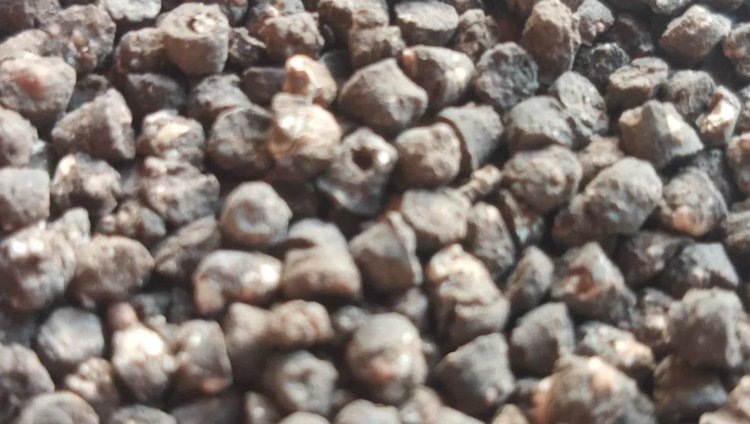    Сахалинские аграрии в новом сезоне увеличат внесение минудобрений на 40 процентов