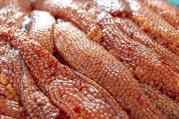 Фото: Kei Shooting / Shutterstock / Fotodom