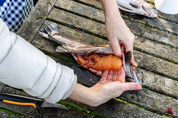 Фото: Vadym Zaitsev / Shutterstock / Fotodom