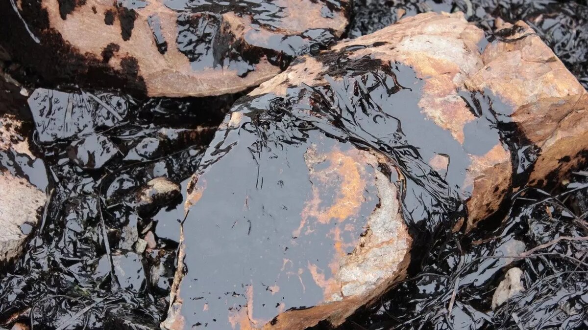     Источник: 1MI