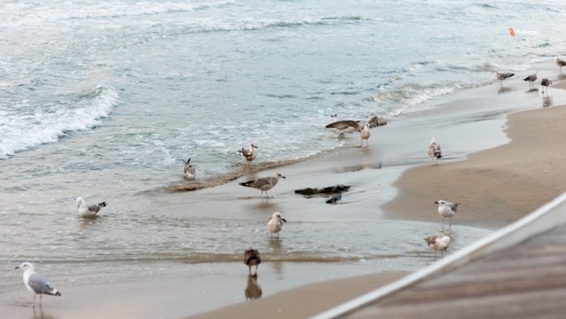      Фото: Freepik.com