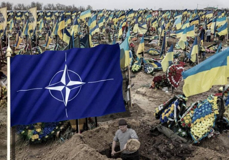 Из цитируемого источника