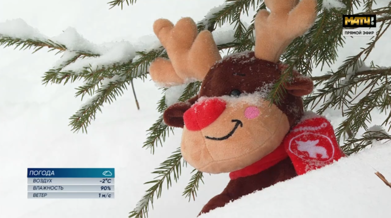 Скрин трансляции. 