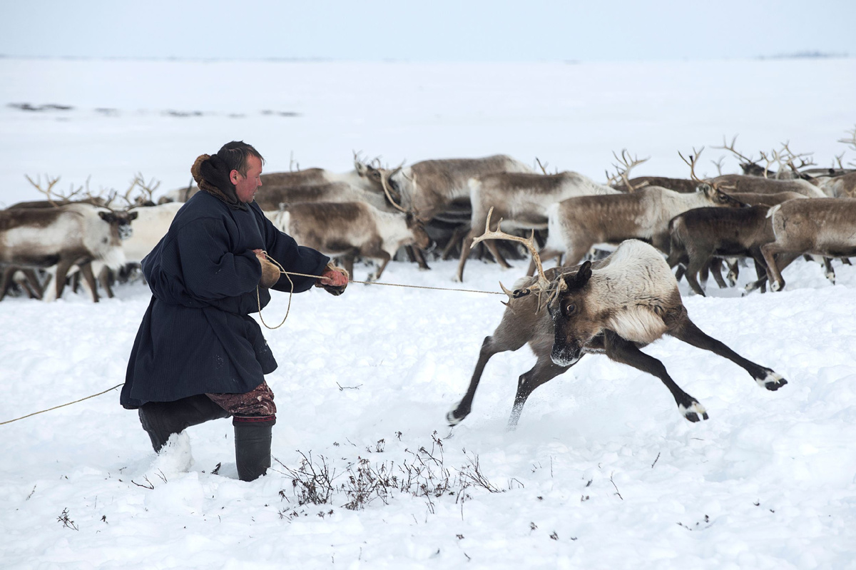 Фото: Sergey Rusanov/Shutterstock/Fotodom
